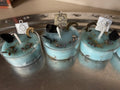 Brigid's Hearth & Healing Ritual Tea Lights